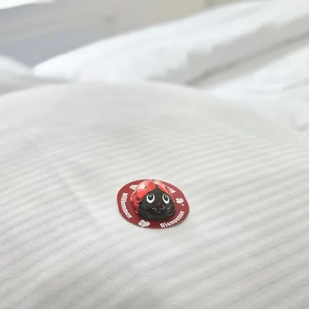 H-apartment 3 Апартаменты Триберг